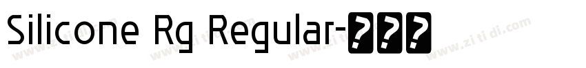 Silicone Rg Regular字体转换